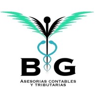 ByG Asesores LTDA logo - Similar company to Mein Asesores