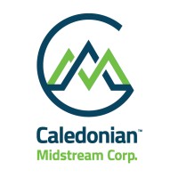 Caledonian Midstream Corporation logo - Similar company to Realinterface Corporation
