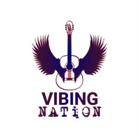 VIBING NATION logo - Similar company to Filmyroot Production