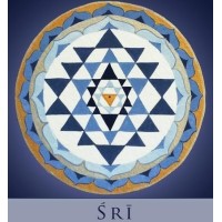 SRÍ Wealth Management logo - Similar company to Sri Wealth