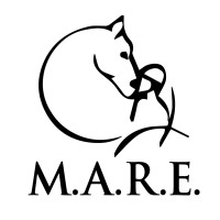 Mare Riding Center