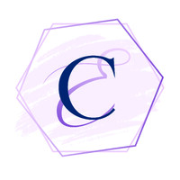 Career Elevation logo - Similar company to Spacerock Solutions