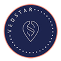 VEDSTAR logo - Similar company to Голд Сервіс Біз Компані Тов Київ