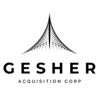 Gesher Acquisition Corp logo - Similar company to Teramips Technologies