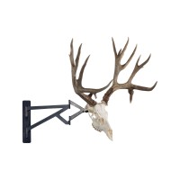Beartooth Skullworks logo - Similar company to Montana Wild