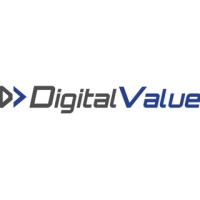 DigitalValue logo - Similar company to Bring Value