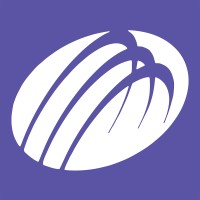 Gsf Media