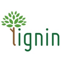 Lignin logo - Similar company to Ruby2 Digital