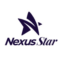 Nexus Star Holdings logo - Similar company to Nexus Star