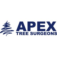 Apex Tree Surgeons Ltd logo - Similar company to Apex Tool Solutions