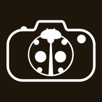 Spotted Photography logo - Similar company to Captavate Llc