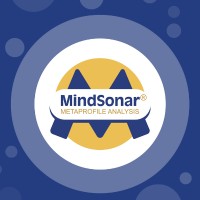 MindSonar America logo - Similar company to Silver Quality Consulting