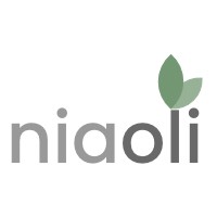 Niaoli logo - Similar company to Imagethink
