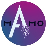 Mamo logo - Similar company to Irimì