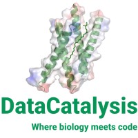 DataCatalysis logo - Similar company to Datacatalyst
