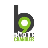The Back Nine Golf logo - Similar company to The Connect Force
