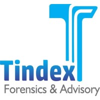Tindex Forensics and Advisory logo - Similar company to Precise Management & Research Consultancy