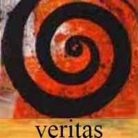 Veritas Zimbabwe logo - Similar company to Hup.Ai