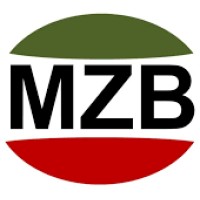 MZB-HD Participações e Negócios Ltda logo - Similar company to By Drones