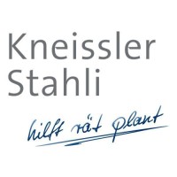 Kneissler & Stahli logo - Similar company to Konzept:Wert