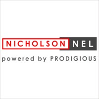 Nicholson Nel Quantity Surveyors logo - Similar company to Ariche Tech