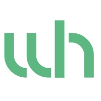 Wealth Holdings Ltd logo - Similar company to Mindsavvy