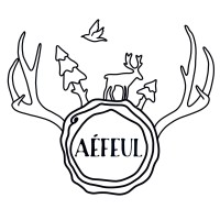 Association des Étudiants en Foresterie et Environnement de l’Université Laval logo - Similar company to Centre De Recherche En Aménagement Et Développement – Université Laval