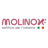 Molinox S.r.l. logo - Similar company to R&M Strategy S.R.L.