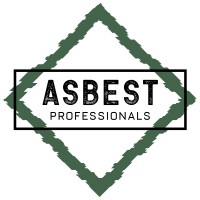 Asbest Professionals B.V. logo - Similar company to Vellinga Project Realisatie B.V.