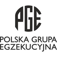 Polska Grupa Egzekucyjna logo - Similar company to Visset.Pl - Finanse Dla Biznesu