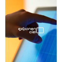 EXPONENCIEL logo - Similar company to Antiane - Managed It Services