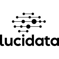 Lucidata logo - Similar company to Luc Data