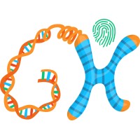 GenomeToHealth logo - Similar company to Mapmygenome Canada