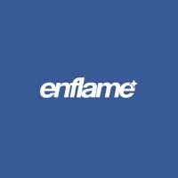 Enflame.ba logo - Similar company to Blyndtek