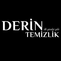 Derintemizlik.com.tr logo - Similar company to Dry Car Care