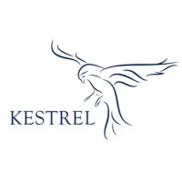 Kestrel Global Ltd. logo - Similar company to Makette