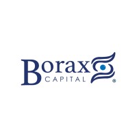 Borax Capital logo - Similar company to Bsd Financial Advisory