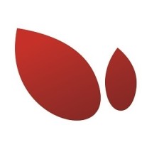 San Silvestre Group logo - Similar company to Ruralcoast Properties