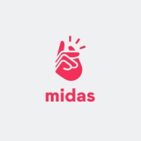 Midas logo - Similar company to Vis Foundation International
