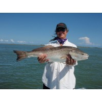 astrofish.net logo - Similar company to Veganonthemap