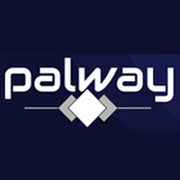 Palway ERP Solution logo - Similar company to Many Apps