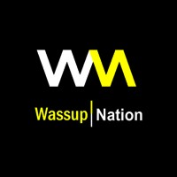 Wassup Nation logo - Similar company to Apna Technologies & Solutions (Apnatech