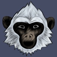 Smart Monkey Web Works logo - Similar company to Fat Panda, Llc