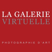 La Galerie Virtuelle - Photographie d'Art logo - Similar company to Envie D'Art / K+Y Gallery