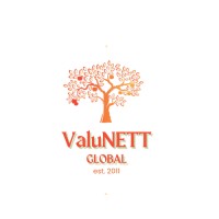 ValuNETT Global logo - Similar company to The Digital Dealmakers Academy