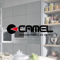 Camel S.r.l. logo - Similar company to Ommiommi.Com