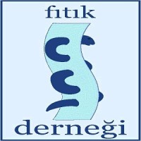 FITIK DERNEĞİ logo - Similar company to Activetep