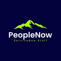 PeopleNow.io logo - Similar company to Digital People