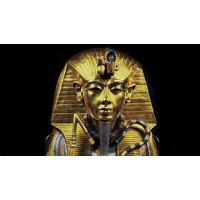 Pharaoh.capital.vc.id logo - Similar company to Kostbuddy