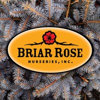 Briar Rose Nurseries logo - Similar company to Solé Farms